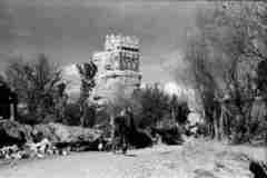 ���� ������ ��� ��� ����